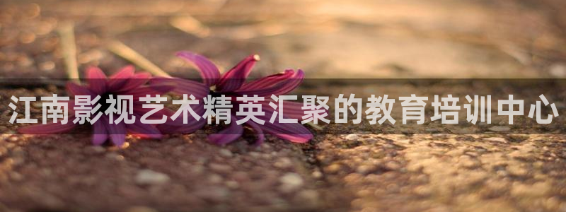 奇优影视电视剧免费观看：江南影视艺术精英汇聚的教育培训中心