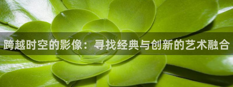 奇优影院手机版本免费观看：跨越时空的影像：寻找经典与创新的艺术融合